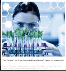 The DNA of the Plant is something Yilo staff takes very seriously