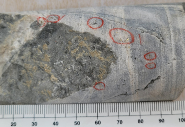 Mawson Gold Limited, Wednesday, March 29, 2023, Press release picture