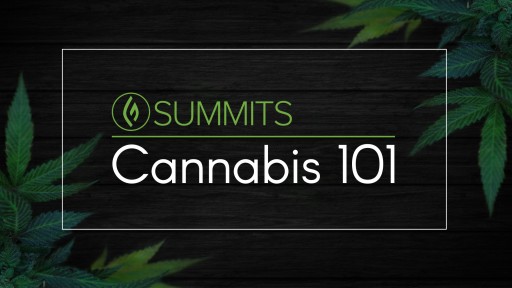 'Cannabis 101 Summit' Goes Live on June 18, 2018