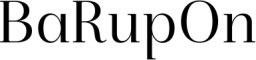 BaRupOn LLC