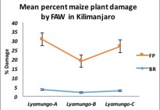 Plant damage in Kilimanjaro
