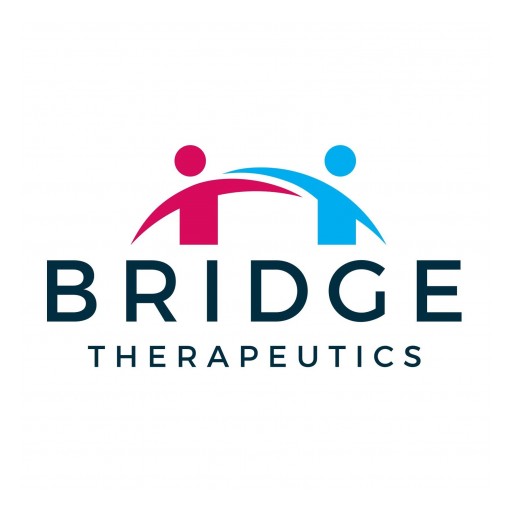 Pharmaceutical Startup, Bridge Therapeutics, Names David H. Bergstrom, Ph.D. as New Chief Operating Officer
