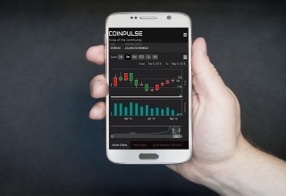 CoinPulse In Action on mobile device