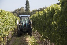 Agrothermal Equipment in the Vineyard