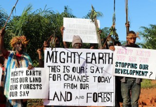 Indigenous Papuans protest against Mighty Earth