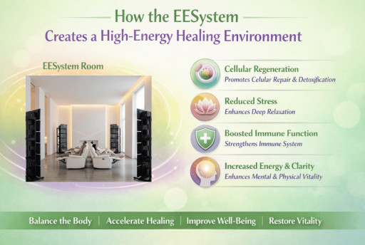 How the EESystem Creates a High-Energy Healing Environment