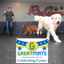 2019 National Dog Trainer of the Year Award