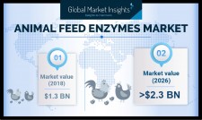 Animal Feed Enzymes Industry Size by 2026