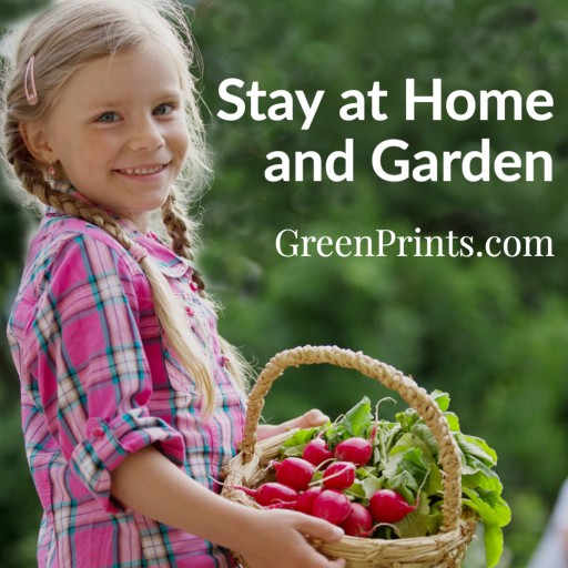 GreenPrints Magazine Launches 'Stay at Home and Garden' Initiative