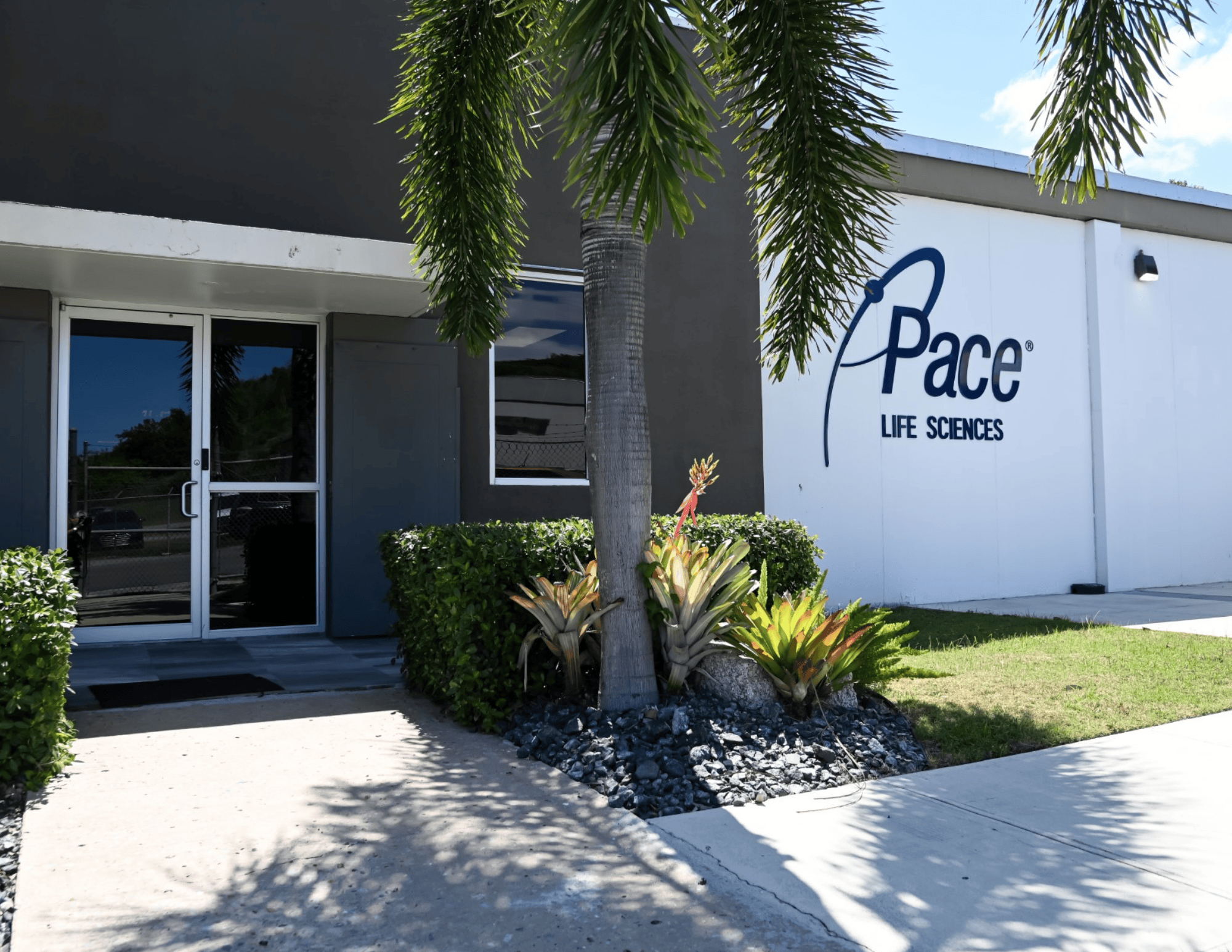 Pace San German