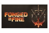 Forged in Fire on the History Channel