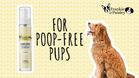 Fanny Foam For Poop-Free Pups