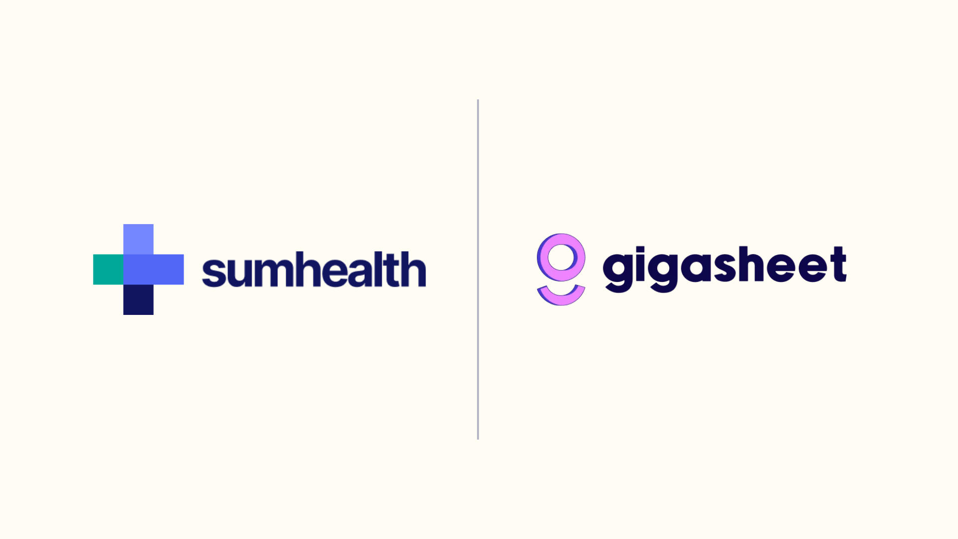 SumHealth + Gigasheet 