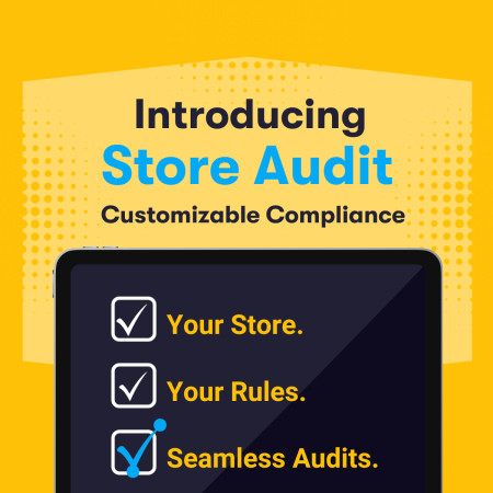 Agilence Store Audit