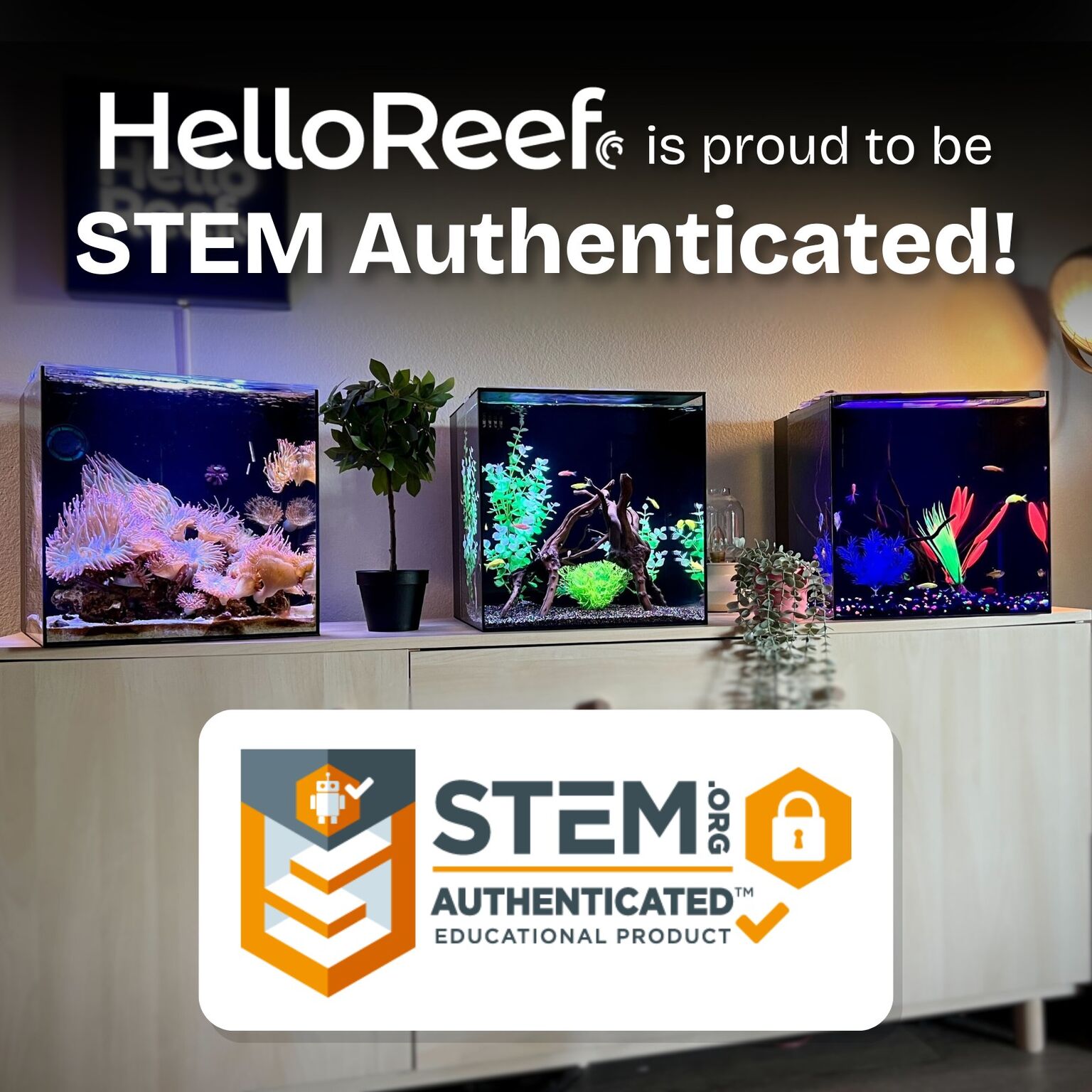 HelloReef Kits Earn STEM Authentication