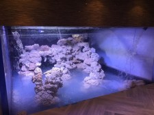 U-shaped Aquarium