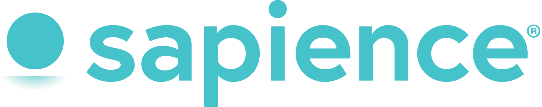Sapience Analytics Logo 