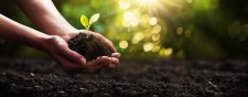 Organic Growth
