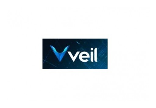The Veil Project Announced Their Privacy Coin Public Release Date