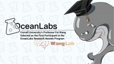 OceanEx Announces Cornell University's Professor Fei Wang as the First Participant in the OceanLabs Research Awards Program