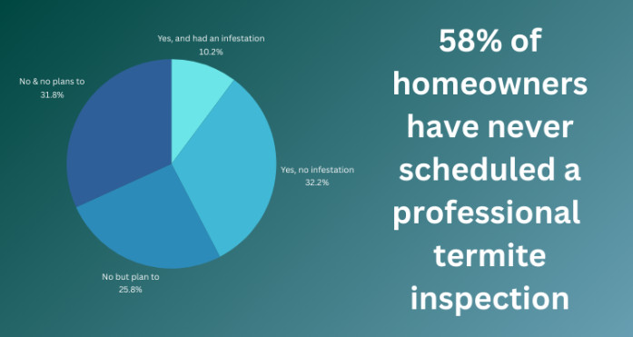 Homeowners and Termite Inspections