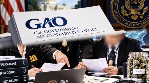 Can You Imagine the Government Making Marijuana Scheduling Decisions Without Written Rules?