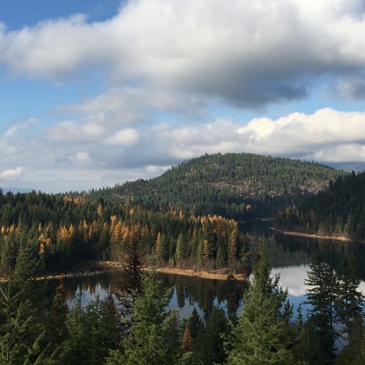 A Hit Out of the Park: Community Forest Collaboration Protects Montana Lake