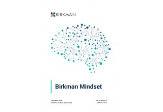 Birkman Mindset 