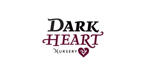 Dark Heart Nursery Now at Purple Lotus