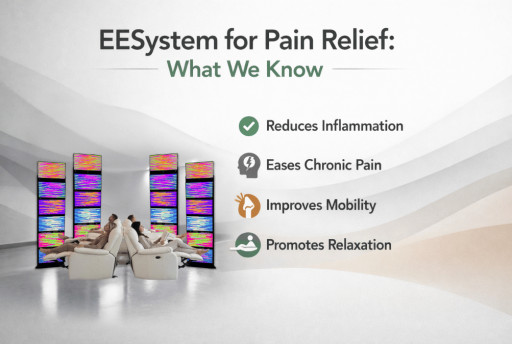 EESystem for Pain Relief: What We Know