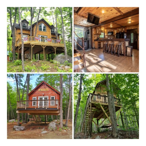 Family in Maine Giving Away Entire Treehouse Resort, Plus $25,000, Through Photo Contest