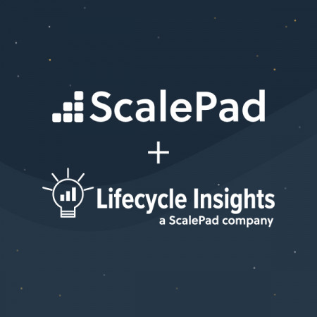 Lifecycle Insights a ScalePad company