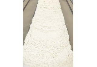 Stillcanna Inc., Monday, October 21, 2019, Press release picture