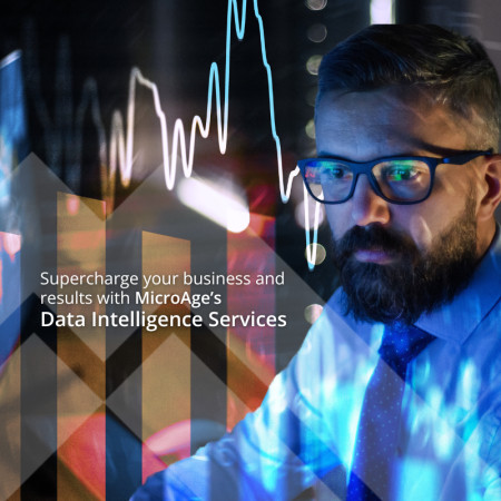 MicroAge Data Intelligence Services