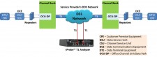 DDS-web-DDS-network