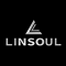 LINSOUL INC