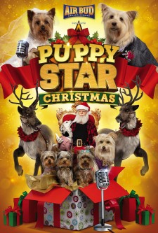 Poster - Puppy Star Christmas
