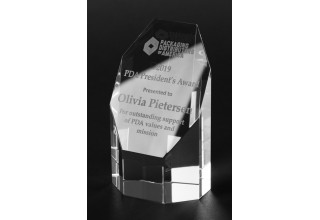 Olivia Pietersen PDA Presidents Award