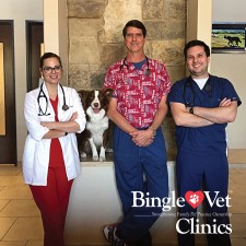 Bingle Vet Clinics Franchise