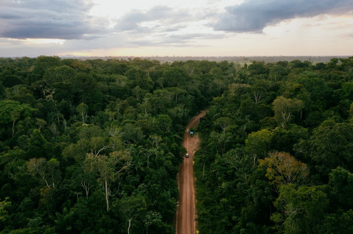 World Economic Forum Names Courageous Land Winner of 2022 Amazon Bioeconomy Challenge
