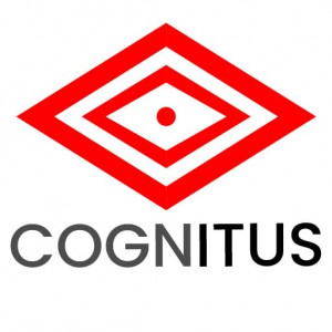 Cognitus Consulting LLC