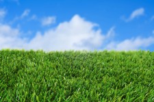 Advantages Of Artificial Grass