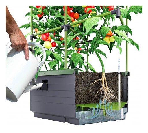 Grow Vegetables and Herbs in a City Jungle Planter From BioGreen