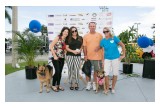 Subaru of Pembroke Pines Hosted Dog Adoptions