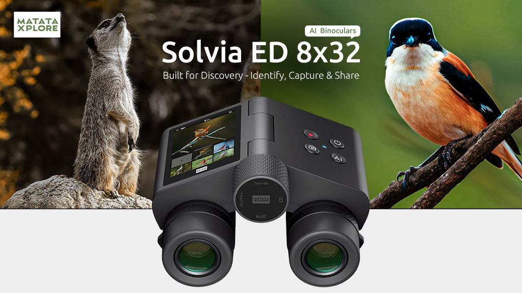 Solvia ED 8x32 AI Binoculars 