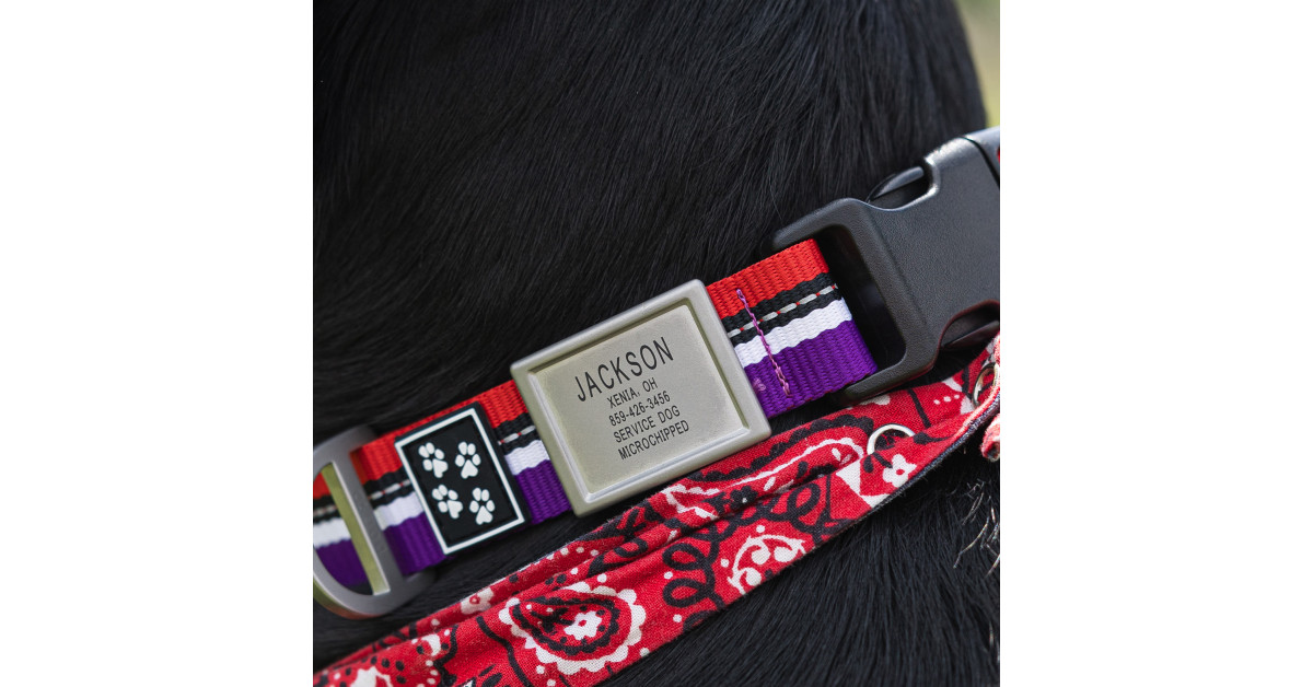 DOG iD and 4 Paws for Ability Partner Up to Design Limited Edition Collection