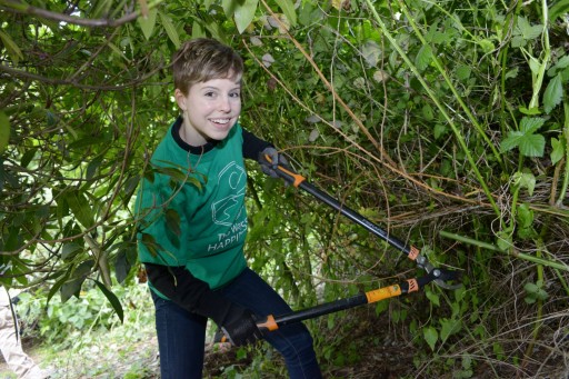 Scientology News: Caring for Seattle's Kinnear Park on Earth Day
