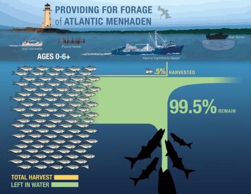  Omega Protein and Ocean Harvesters: Committed to Sustainability