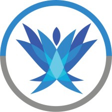 Training Camp Spark Logo