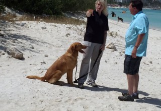 Tracy Sargent and Chance on Aruba Beach with Dave Holloway